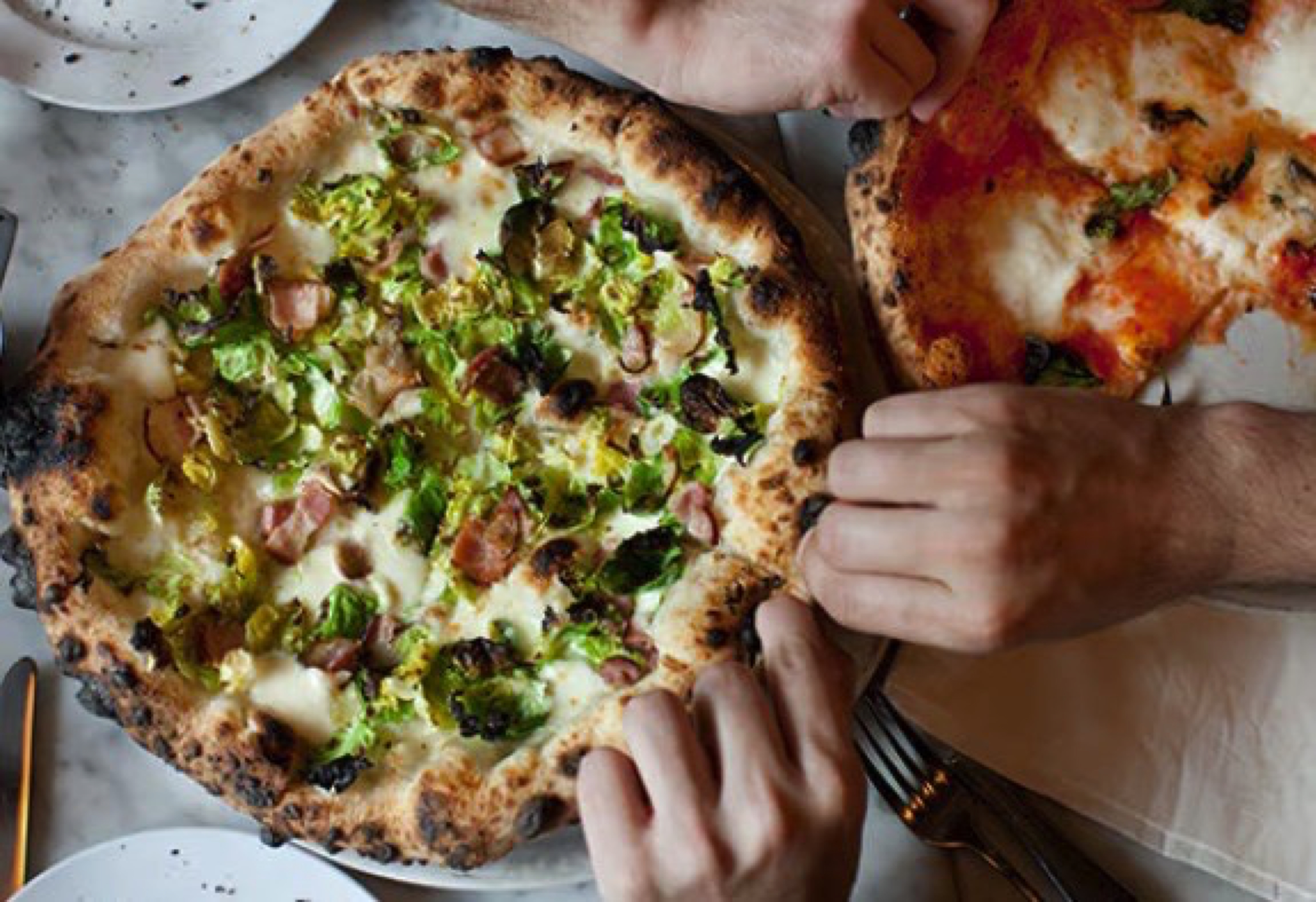 Ventura - Poolside Pizzeria & Grill